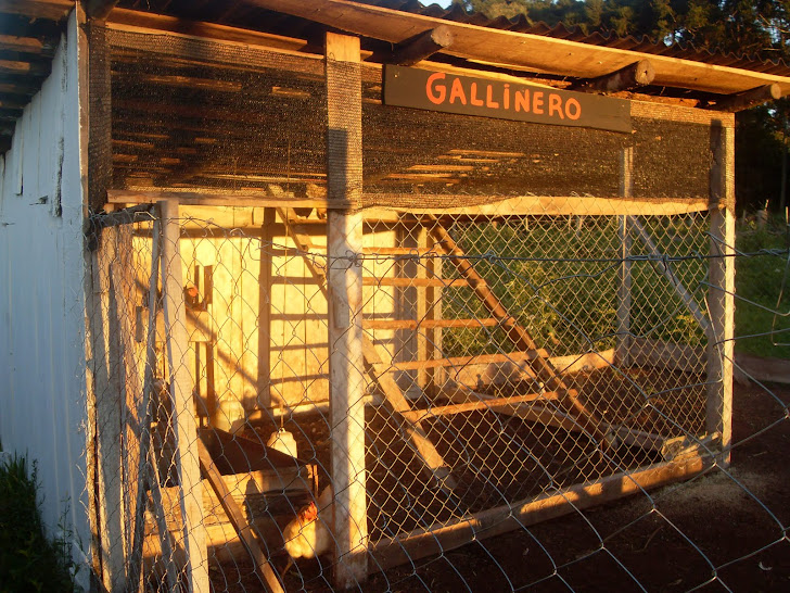 Gallinero