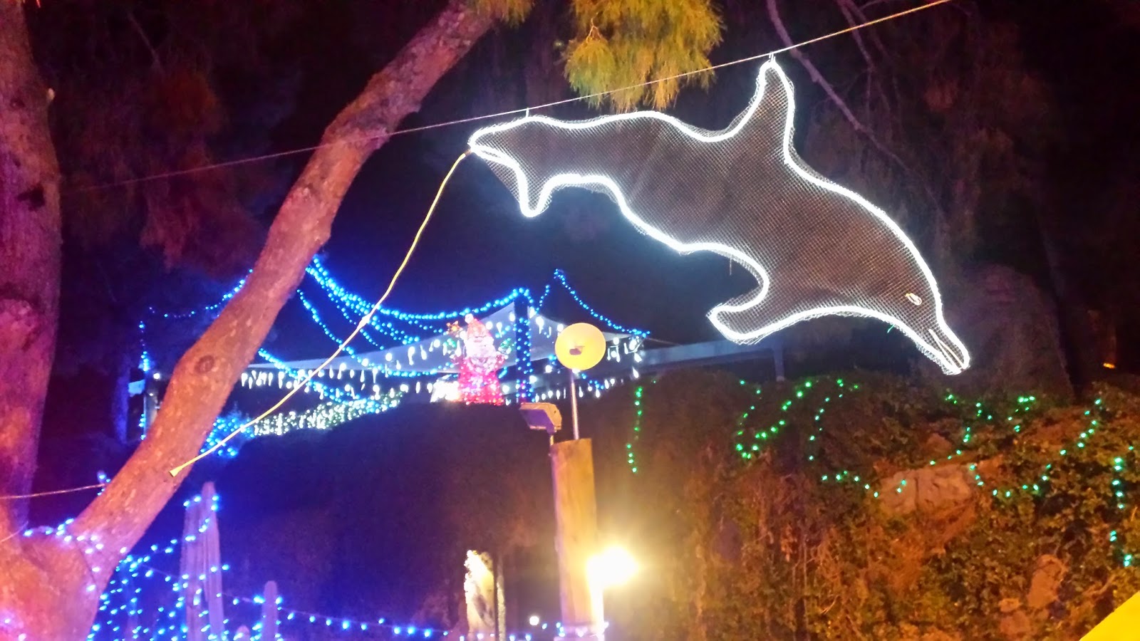 Tucson Daily Photo Santa is at the Reid Park Zoo!