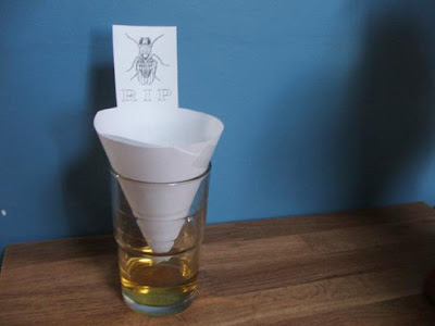 are fruit roll ups healthy diy fruit fly trap are fruit roll ups healthy diy fruit fly trap