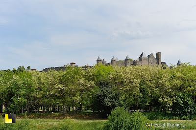 au dessus des arbres la cité de Carcassonne au dessus des arbres la cité de Carcassonne photo pascal blachier