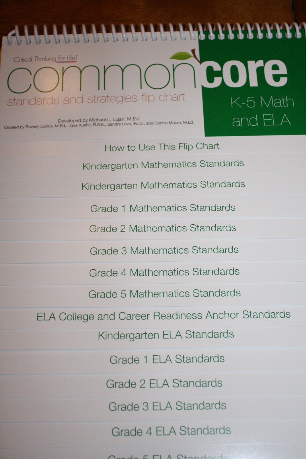 Mentoring Minds Common Core Standards And Strategies Flip Chart