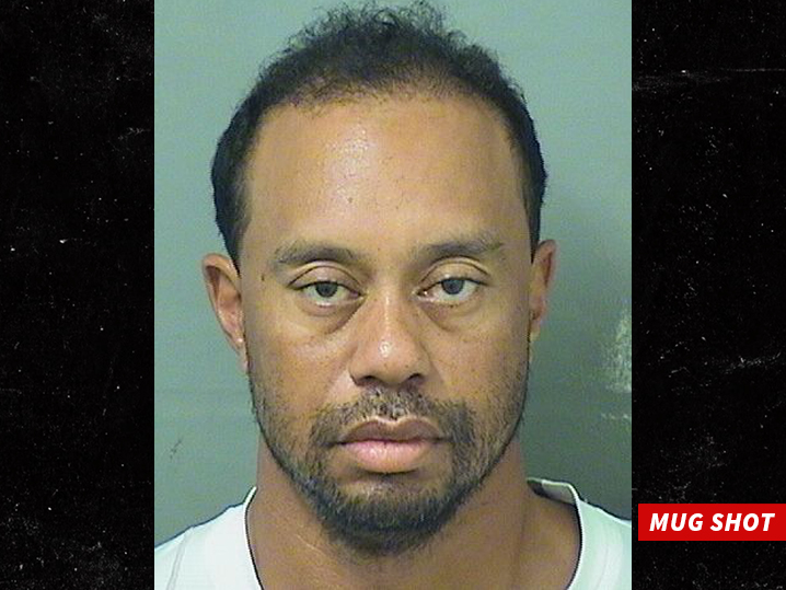 TIGER WODS BUSTED FOR DUI