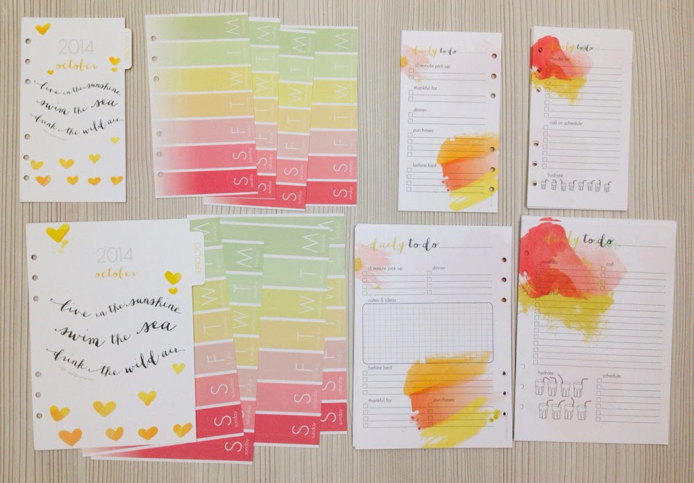 Happiness is Scrappy Planner My First Cocoa Daisy Day Planner Kit