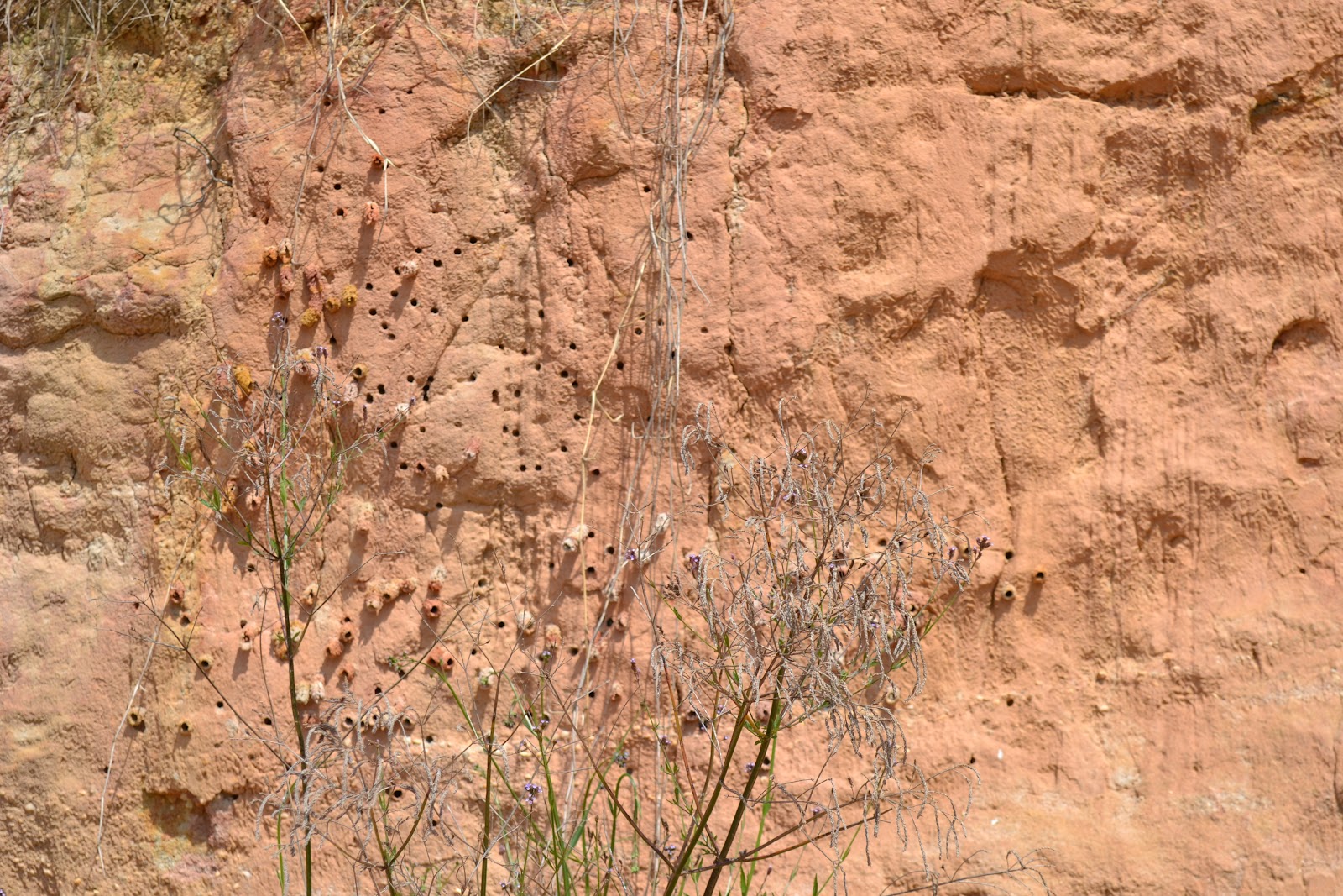 Clay Wall