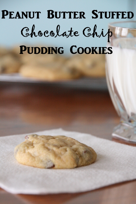 The Sweet {Tooth} Life Peanut Butter Stuffed Chocolate Chip Pudding