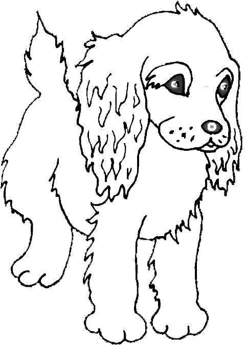 Animals Coloring Pages | Cute Puppy Playing | Kids Coloring Pages