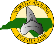 NC Fossil Club