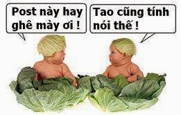 Ảnh chế comment facebook Ảnh chế comment facebook
