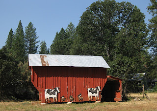 Red barn adorned with three skunks flanked by two cows.