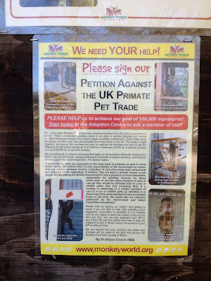 UK Primate Pet Trade petition