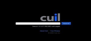 cuil.com|Data 7 Pesaing Google Di Masa Depan