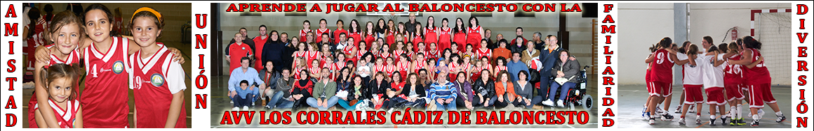 AVV Los Corrales Baloncesto 2012/13