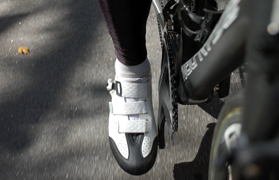 best fizik road shoes
