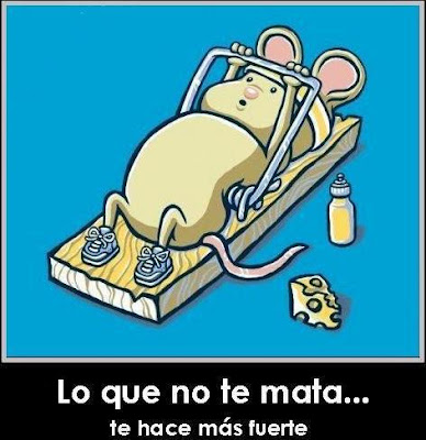 Descubrelo.tk: Lo que no te Mata, te Hace mas fuerte