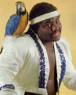 Kiwi's Angels: Koko B. Ware with his macaw Frankie