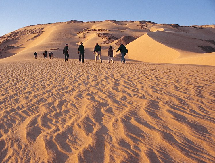 The Egyptian Desert Egypt tours, Desert tour, Egypt travel