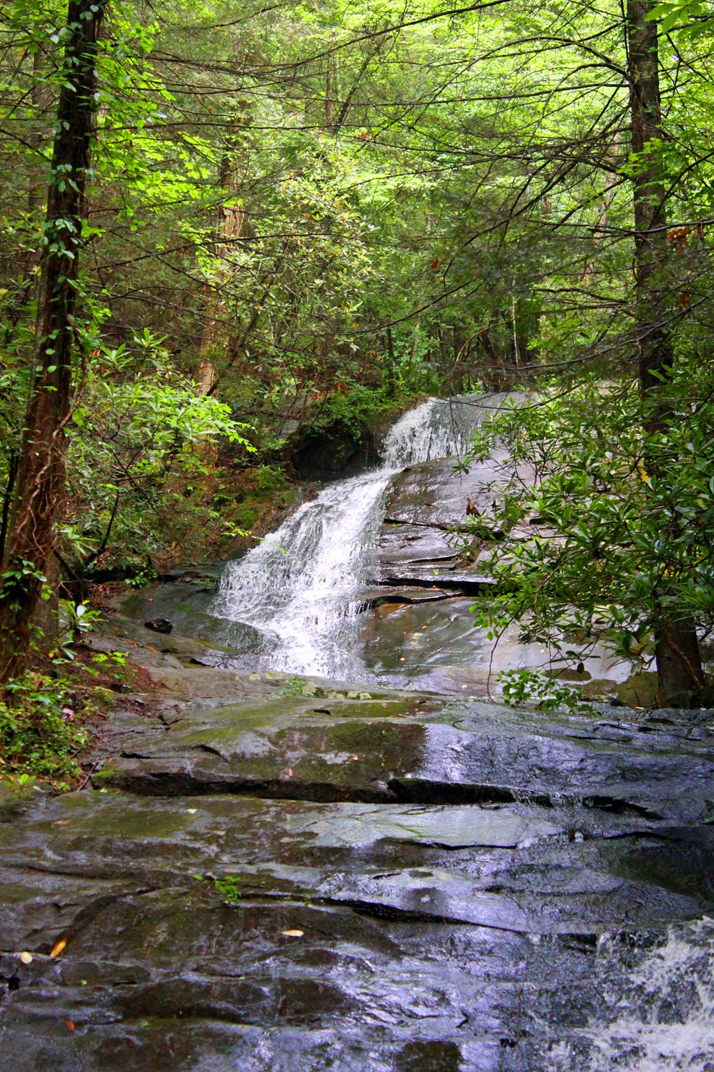 Southern Lagniappe Fall Branch Falls, Blue Ridge,