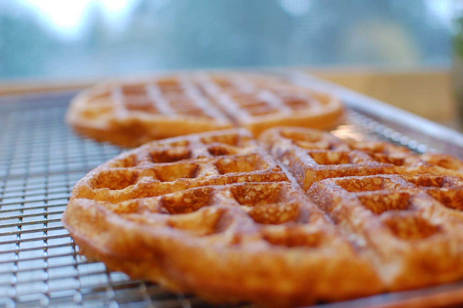 Kitchen Curiosities and more... Whole Wheat Waffles with Protein Powder