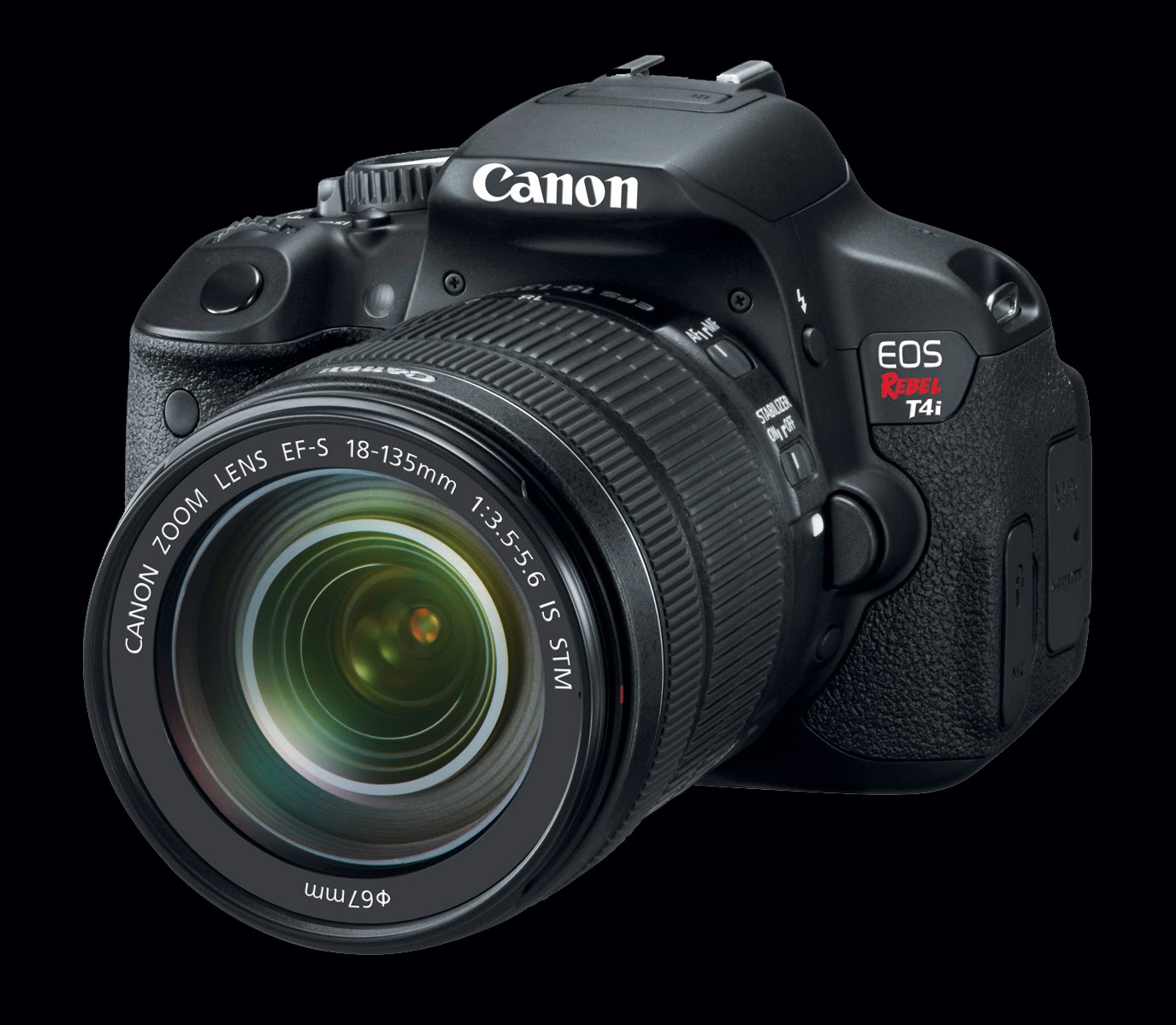 Michael Daniel Ho Wildlife Photographer, Wildlife Photography Guide