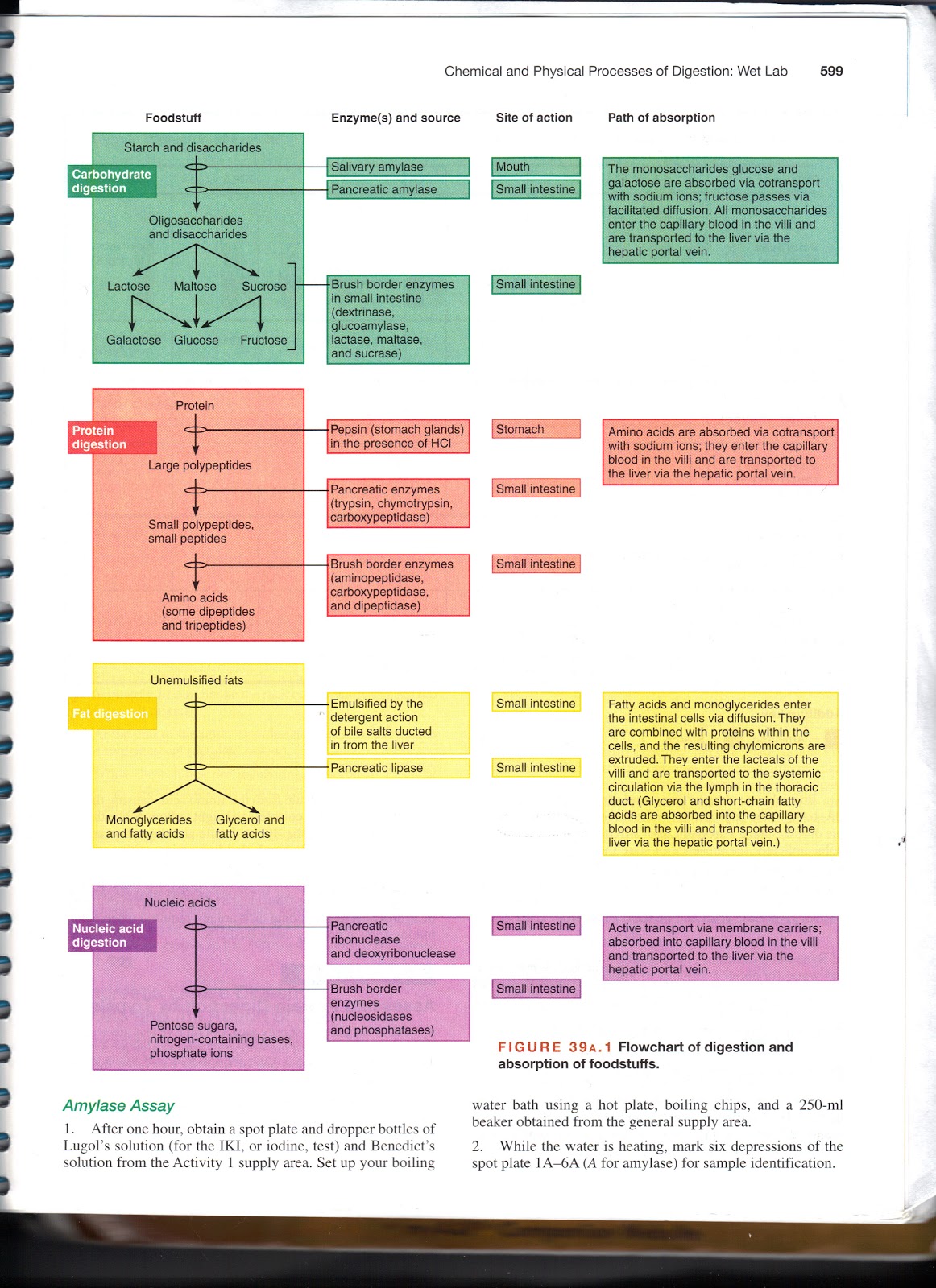 Jennifer Kersey E-Portfolio Bio211: Objectives 60 & 61: Chemical forms