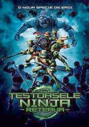 Desene Animate Subtitrate In Romana Teenage Mutant Ninja Turtles 2007 Testoasele Ninja 2007 Online Subtitrat In Romana