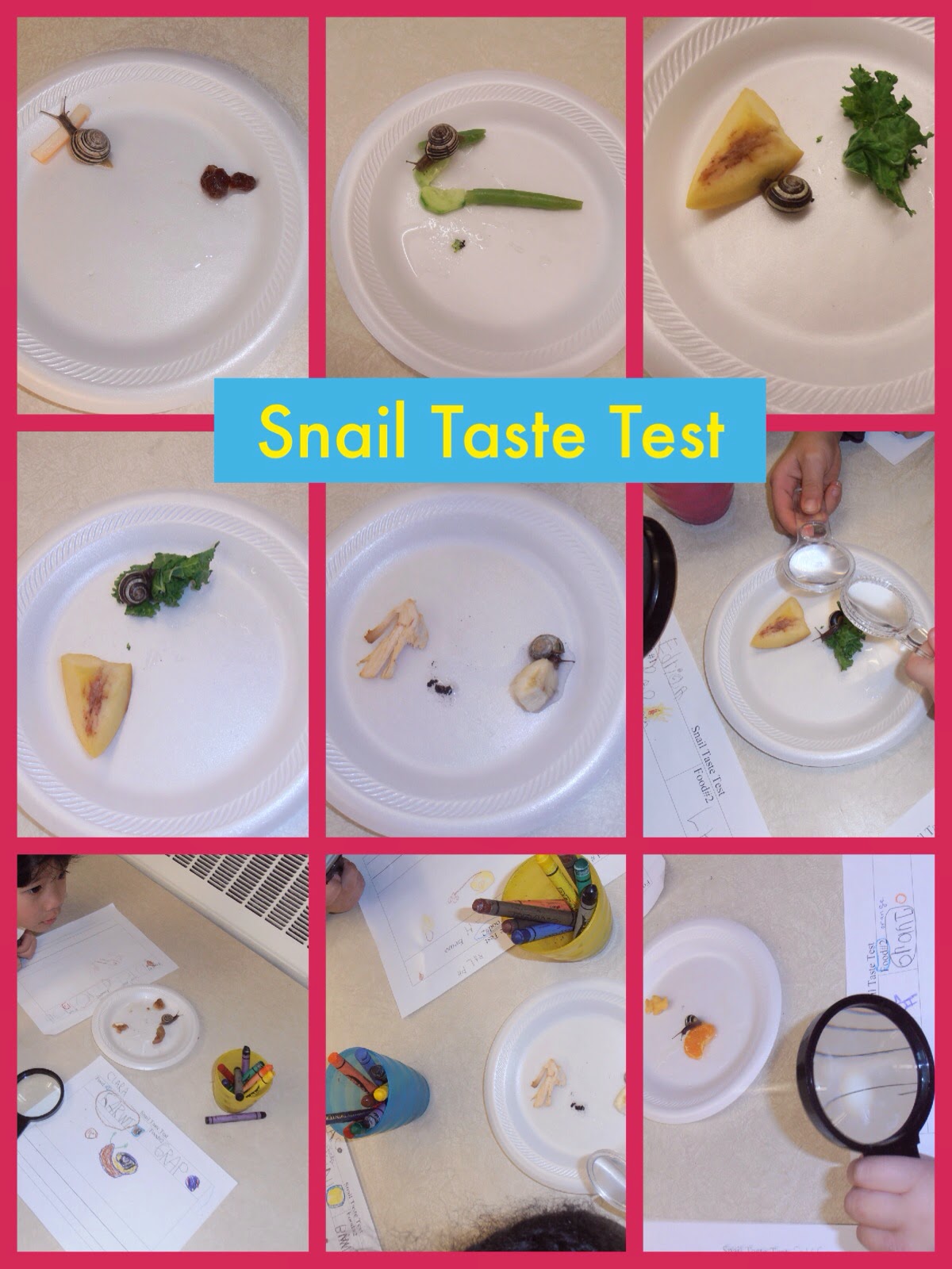 Kindergarten Korner SNAIL TRAILS