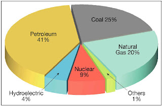 energy nuclear pie renewable chart sources resources natural consumption nonrenewable use gas alternative environmental pollution fossil kayla pabon biology states