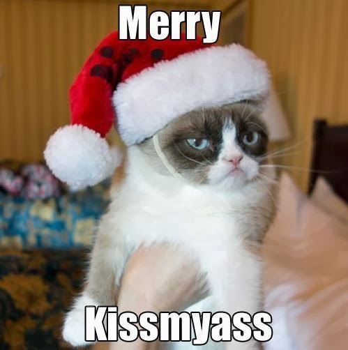 36254-Grumpy-Cat-Merry-KissMyAss-jTbS.jpg