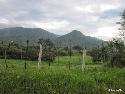 Vista del Cerro Huicicil en el Suroeste