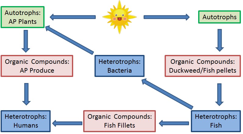 autotrophs that use chemosynthesis autotrophs that use chemosynthesis
