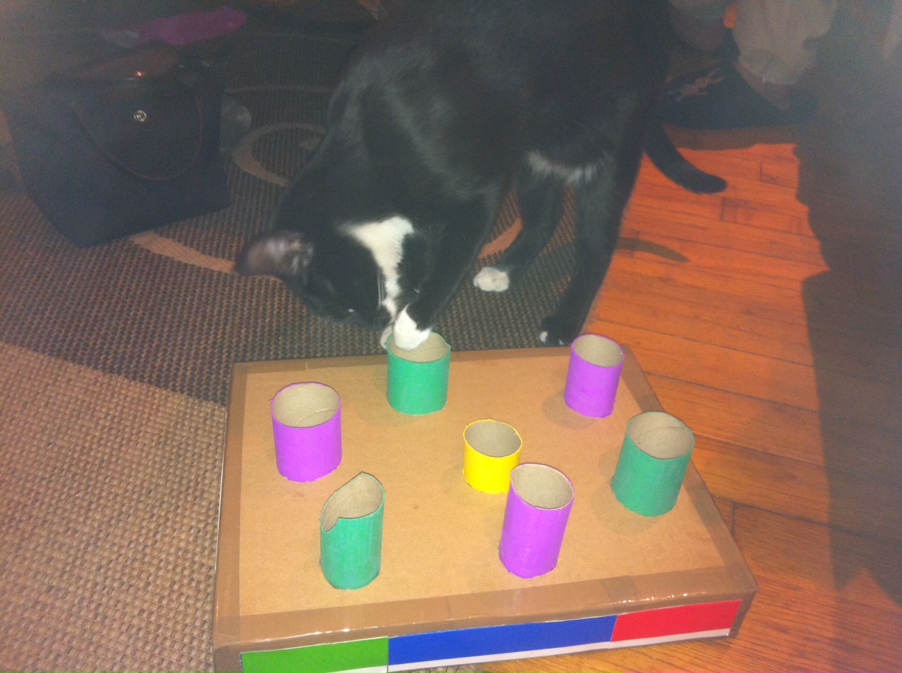 Tout Pour Mon Chat Fabriquer soimême un jouet pour son chat