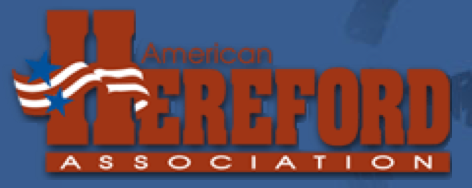 5 Internships To Apply For Over Winter Break Focus Marketing Group