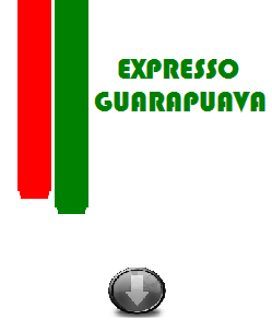 EXPRESSO GUARAPUAVA