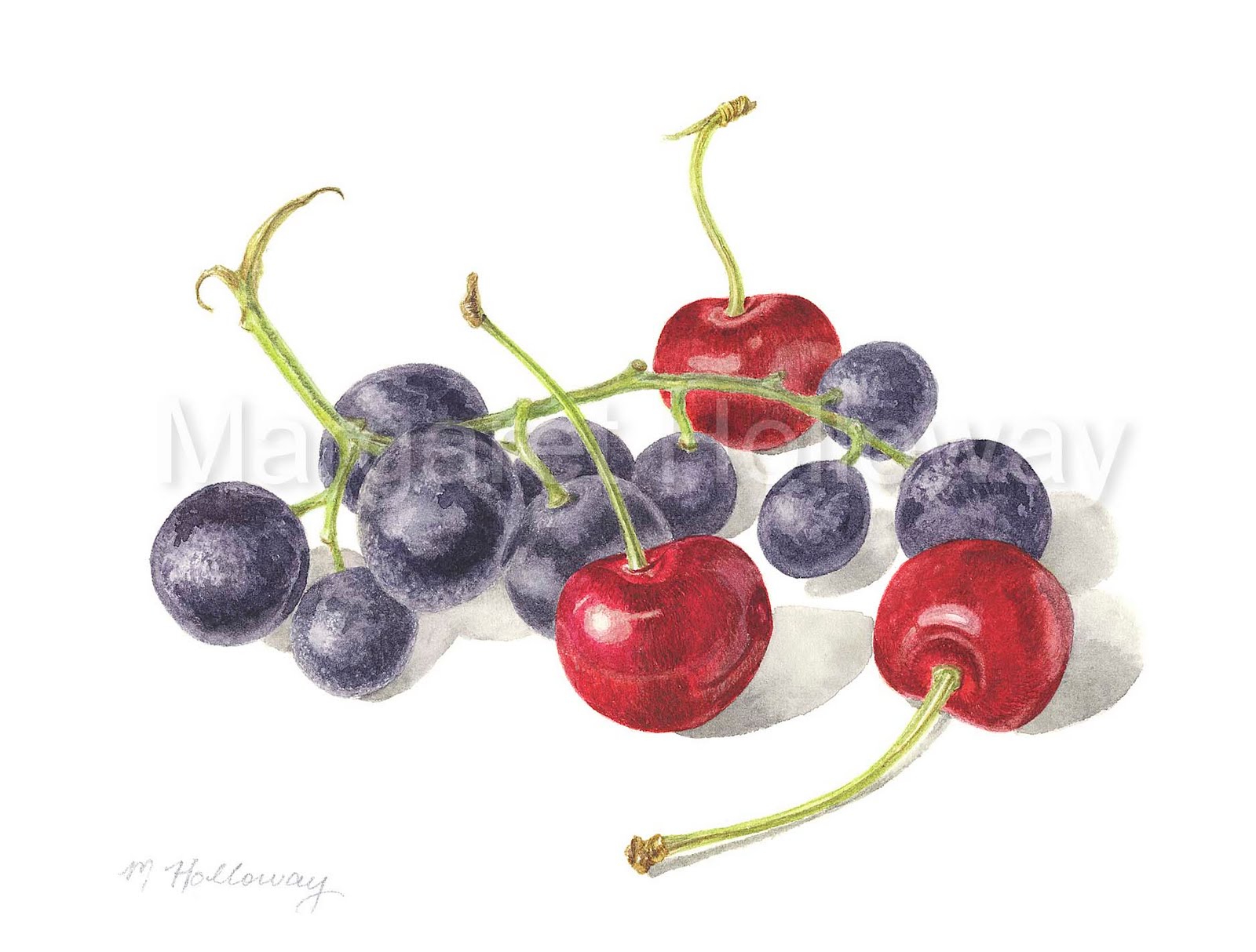 Cherries And Grapes