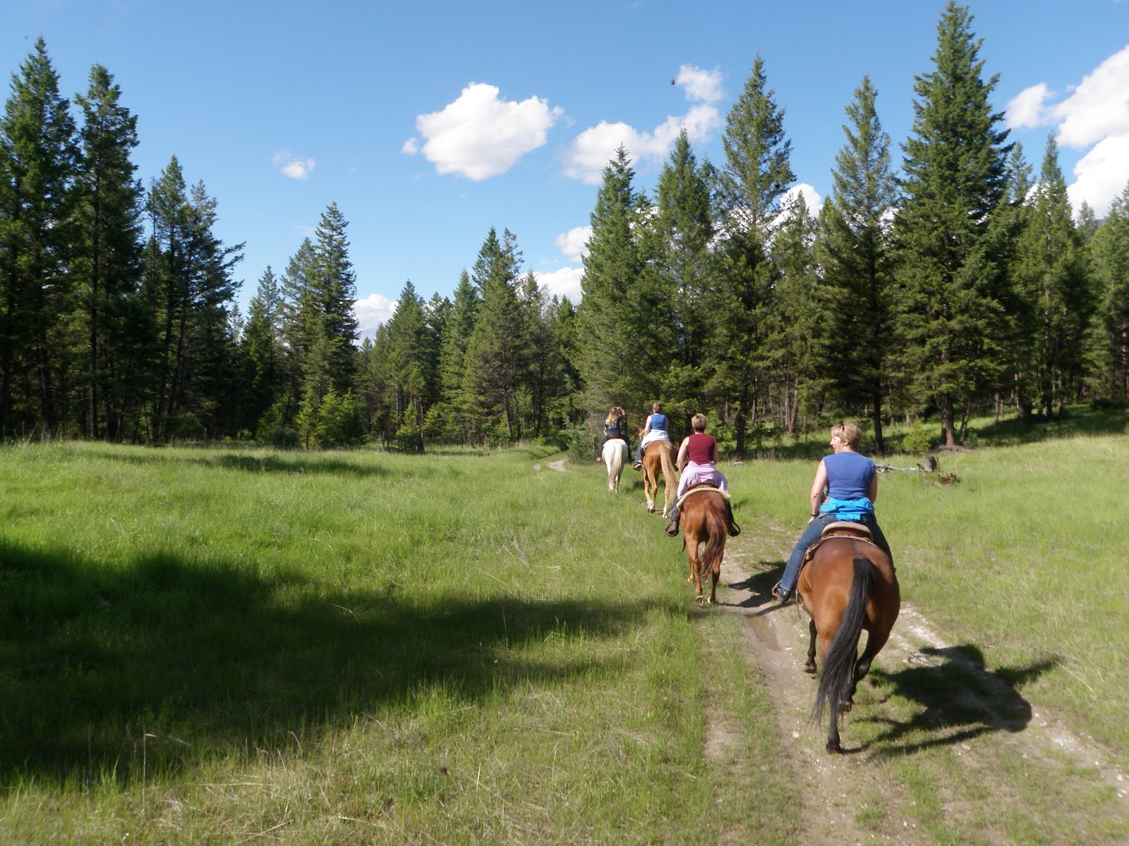 101 Awesome Adventures Blog Cranbrook & Kimberley BC 62 Go for a