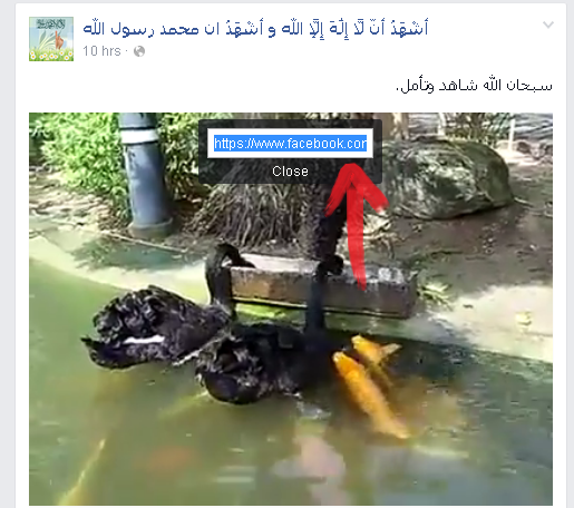 أفضل المواقع لتحميل فيديوهات الفيس بوك طريقة جديدة 2015 2016 برامج صناعة تحميل فيديوهات من اليوتيوب للايفون