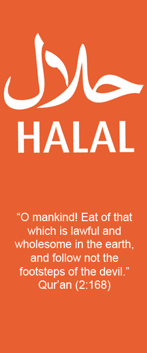 corruption essay in pakistan halal food corruption essay in pakistan halal food