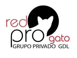 Red Pro Gato Gdl.