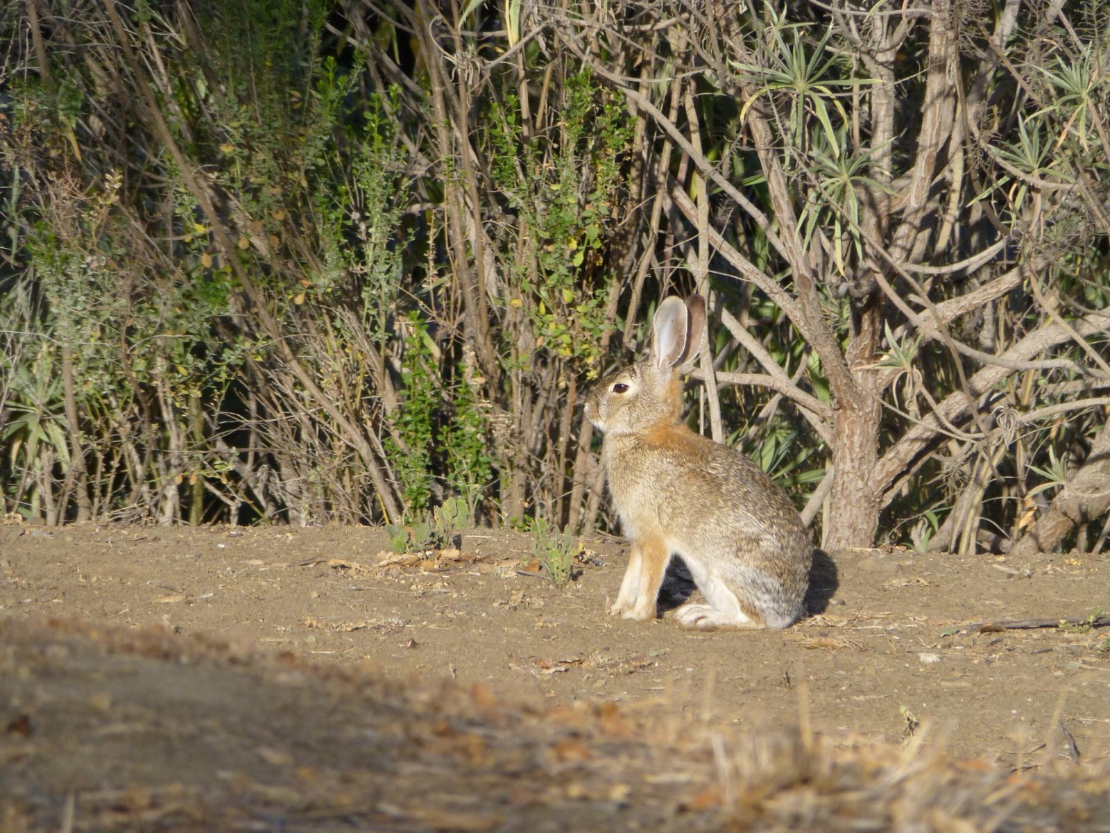 Die 55 Besten Bilder Von Geschenke In 2020 Geschenke Geschenk