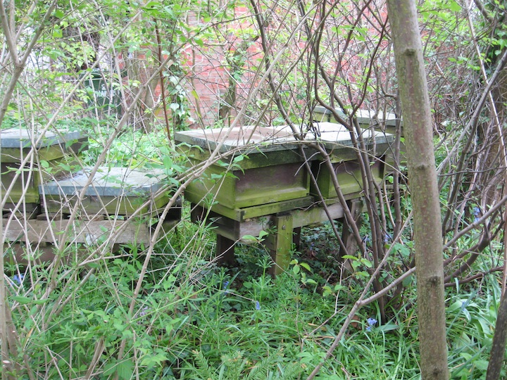 Schooling from the heart: May 2012