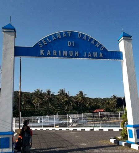 TheGreenCocoIsland TGCI