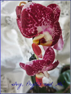 A BEAUTIFUL ORCHID