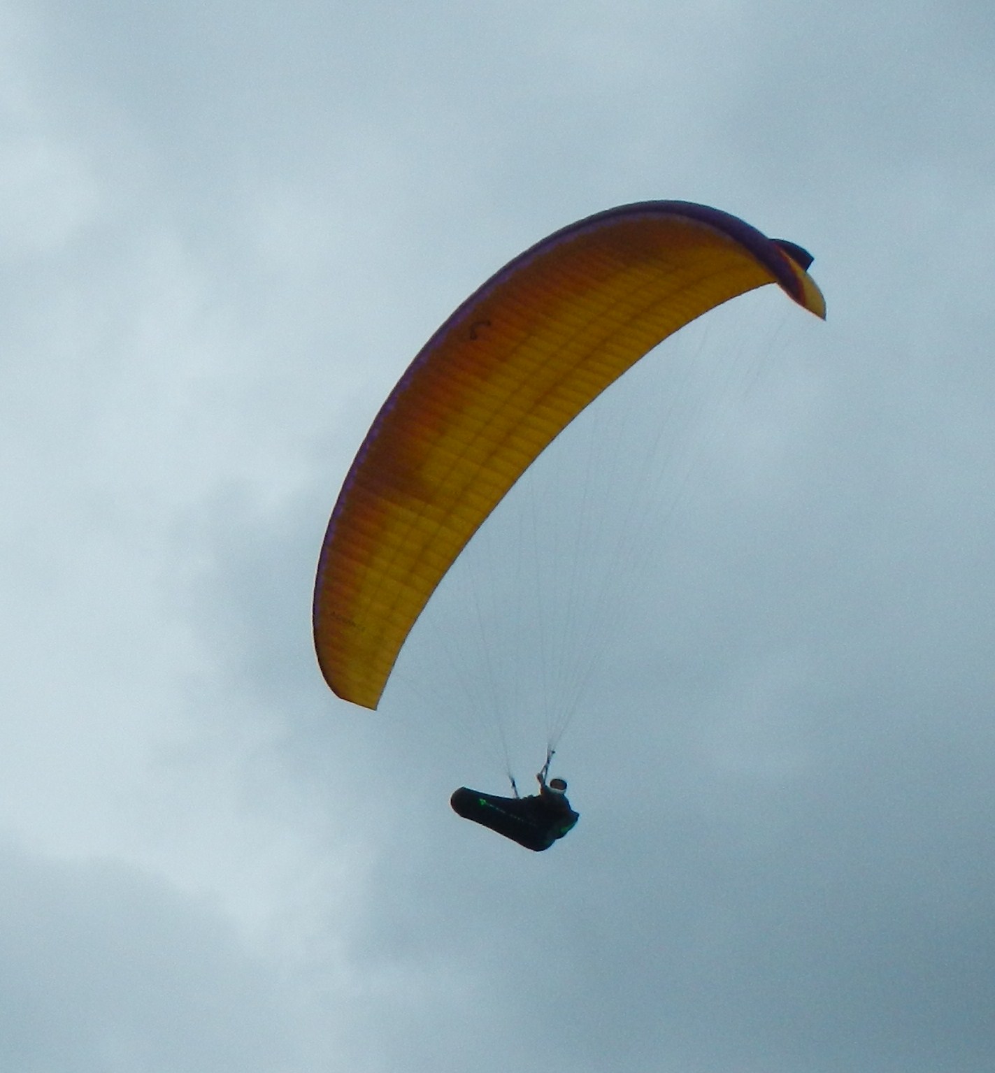 I Flew Today