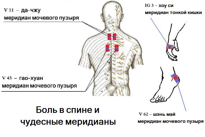 Компресс для коленного сустава спиртовой Компресс для коленного сустава спиртовой