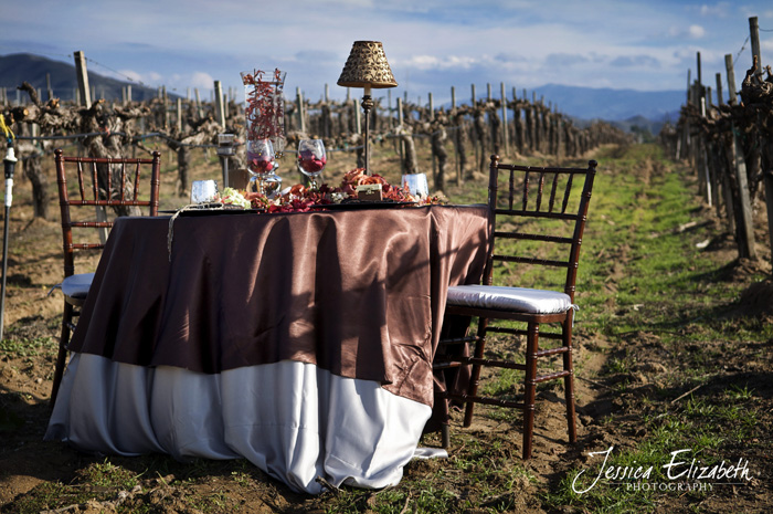 Rustik chateaux: una mesa elegante en medio del campo