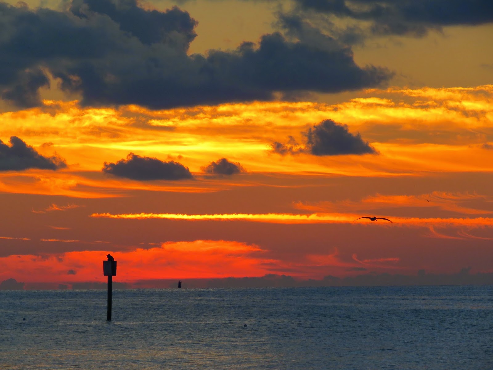 Key West vacation and visit guide Sunrise in Key West