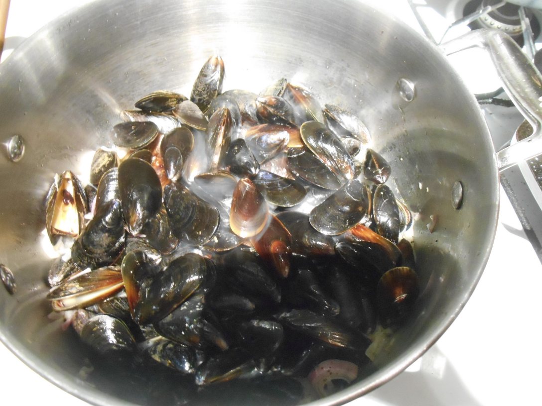 the five food groups?