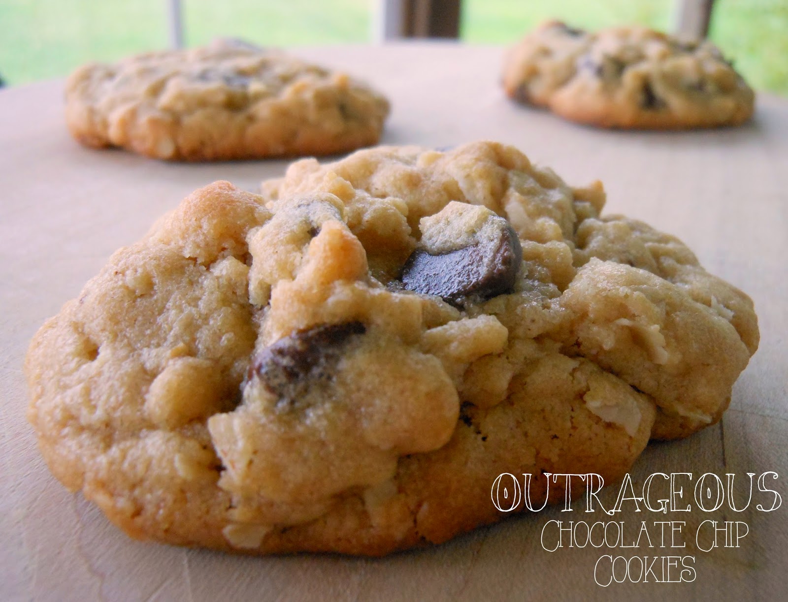 Sunny Days With My Loves Adventures in Homemaking Outrageous