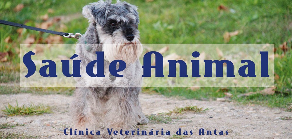 Saúde Animal