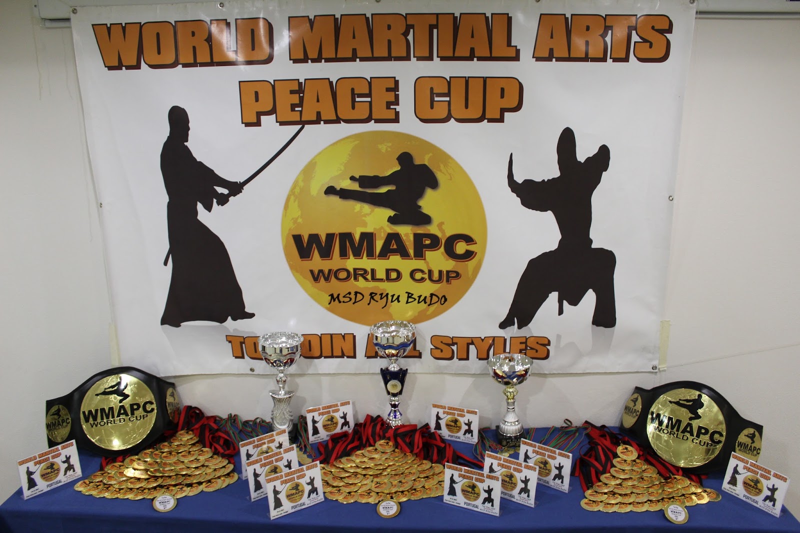 MSD WORLD MARTIAL ARTS PEACE CUP